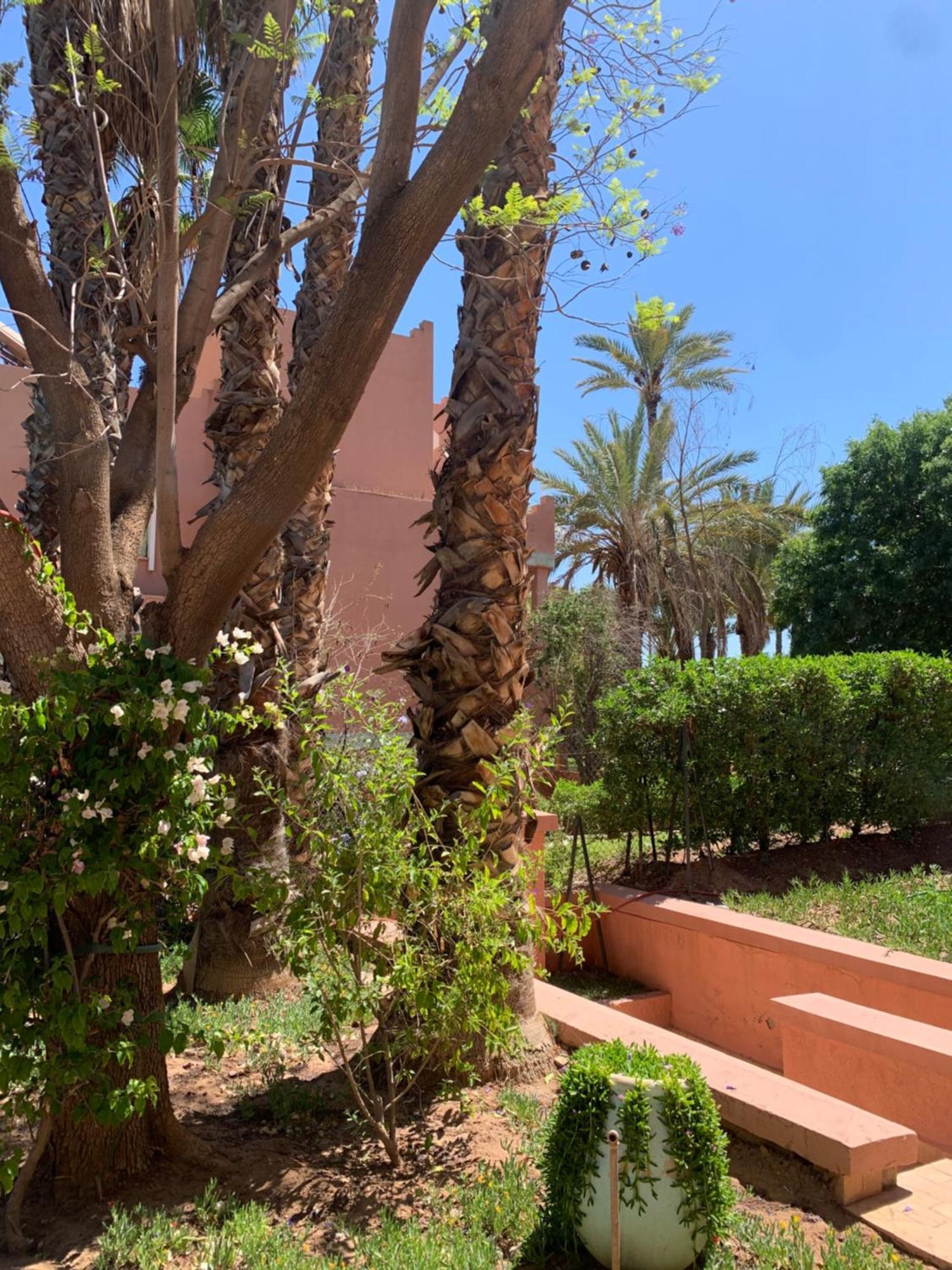 Villa Avec Piscine Privatisee A La Palmeraie Marrakesh Extérieur photo