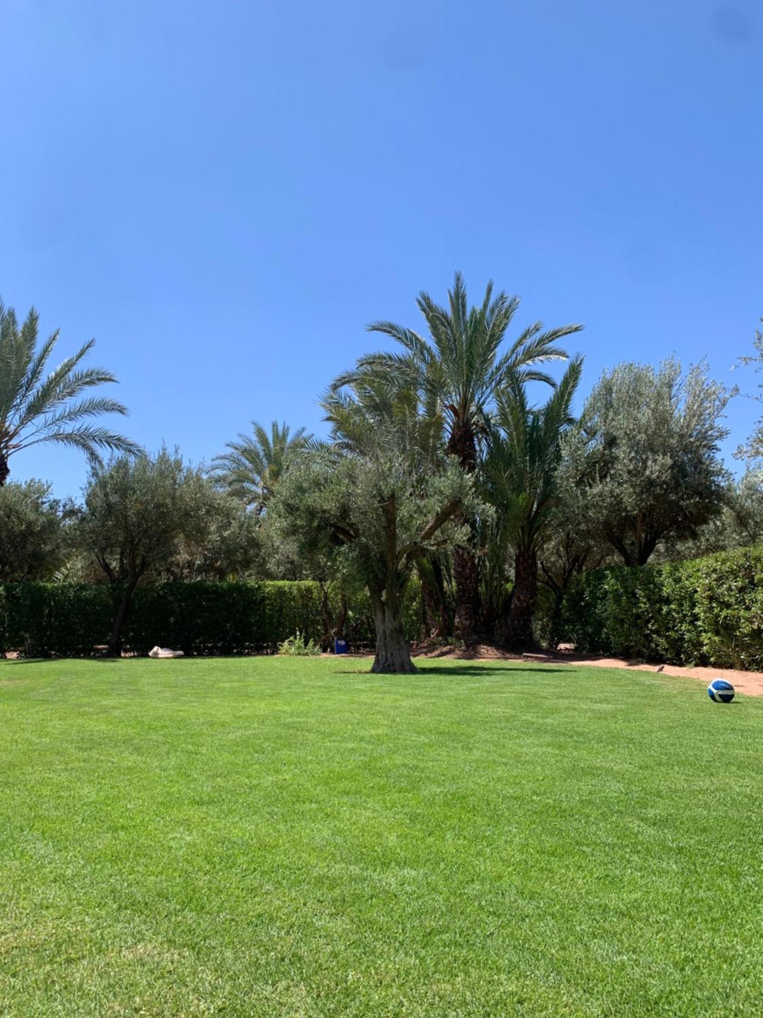 Villa Avec Piscine Privatisee A La Palmeraie Marrakesh Extérieur photo