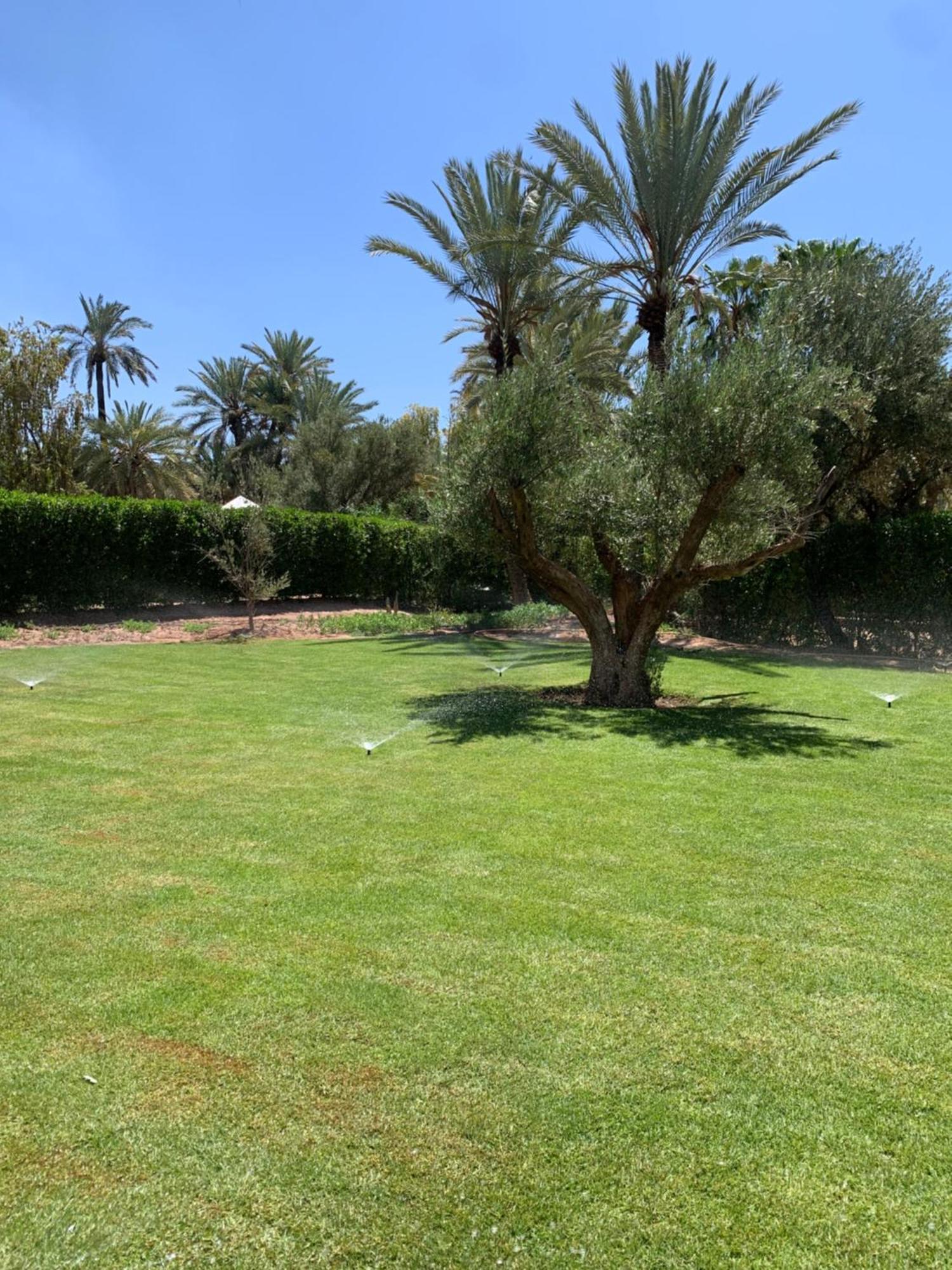 Villa Avec Piscine Privatisee A La Palmeraie Marrakesh Extérieur photo