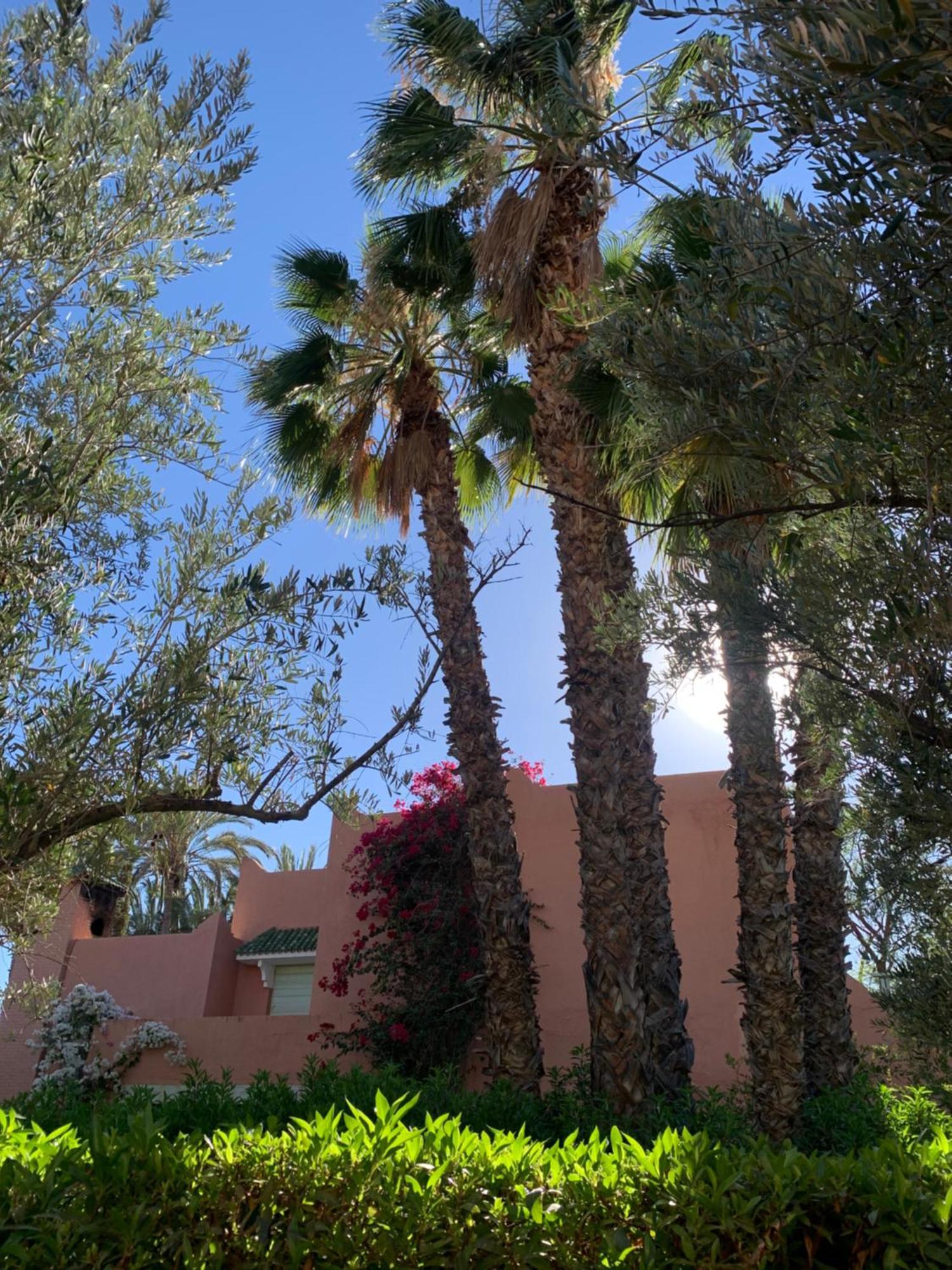 Villa Avec Piscine Privatisee A La Palmeraie Marrakesh Extérieur photo