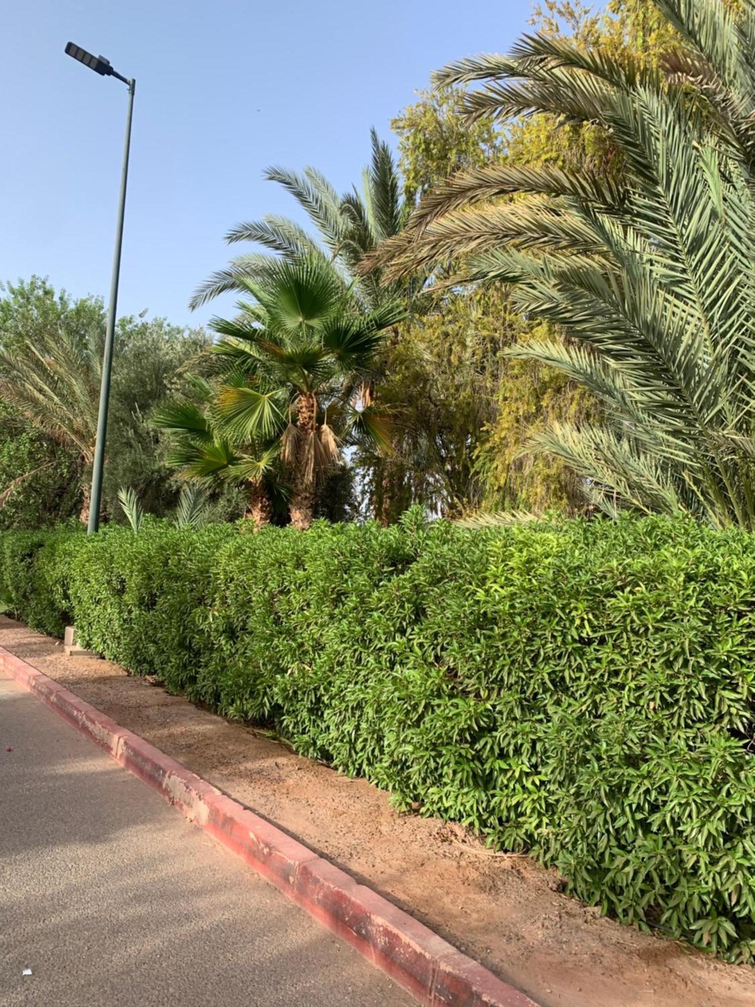 Villa Avec Piscine Privatisee A La Palmeraie Marrakesh Extérieur photo